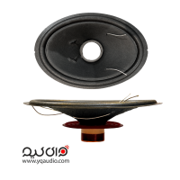 ریکون 6975 پایونیر 300 وات یک ریکون کیت آماده برای تعمیر باند Pioneer 6975 300W است