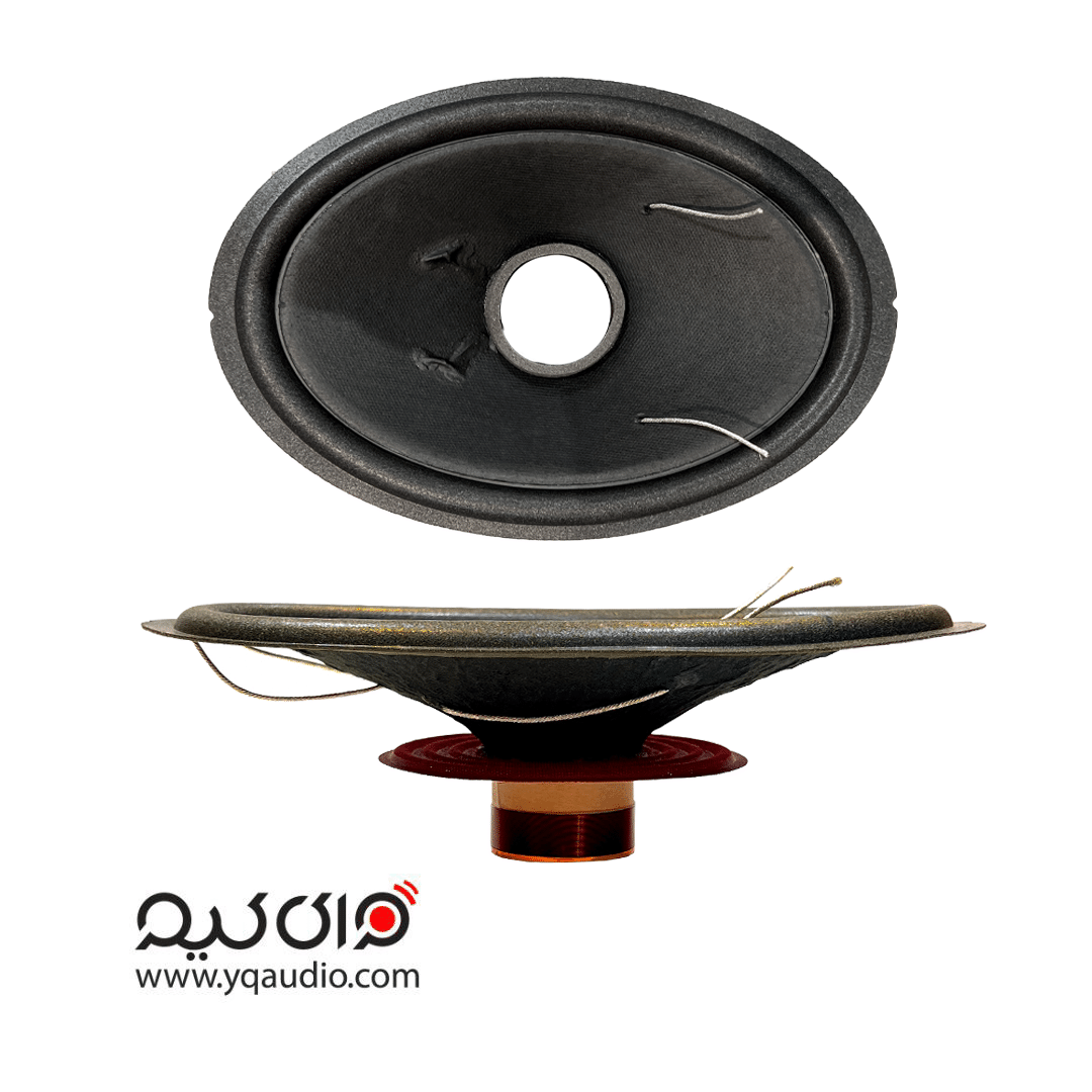 ریکون کیت 6975 300وات ریکون 6975 پایونیر 300 وات یک ریکون کیت آماده برای تعمیر باند Pioneer 6975 300W است